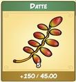 French - apport datte.JPG