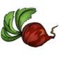 Beetroot.png