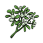 Mistletoe.png