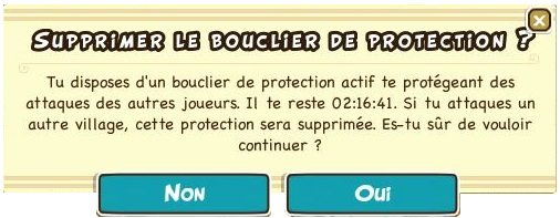 French - Bouclier de protection, message.png