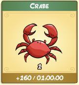 French - apport crabe.JPG