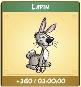 French - apport lapin.JPG