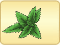 Peppermint4.png