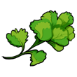 Parsley.png