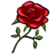Rose.jpg