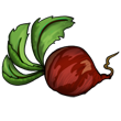 Beetroot.png