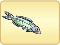 Egyptian Fish4.png