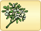 Mistletoe4.png