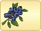 Blueberries4.png