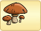 Mushroom4.png