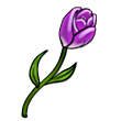 Tulip.png