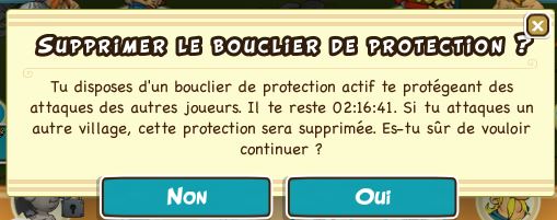French - Bouclier de protection, message.JPG