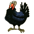 Turkeys.png