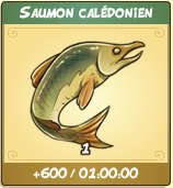 French - apport saumon calédonien.PNG