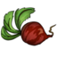 Beetroot.png