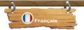 French - Drapeau français.PNG