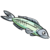 Egyptian fish.png