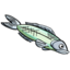Egyptian fish.png