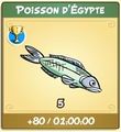 French - apport poisson d'égypte.JPG